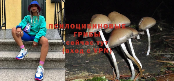 apvp Михайловск